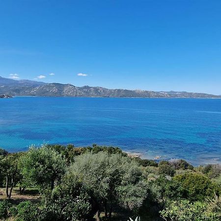 Appartement Sur La Baie De Saint Florent Patrimonio Exteriör bild