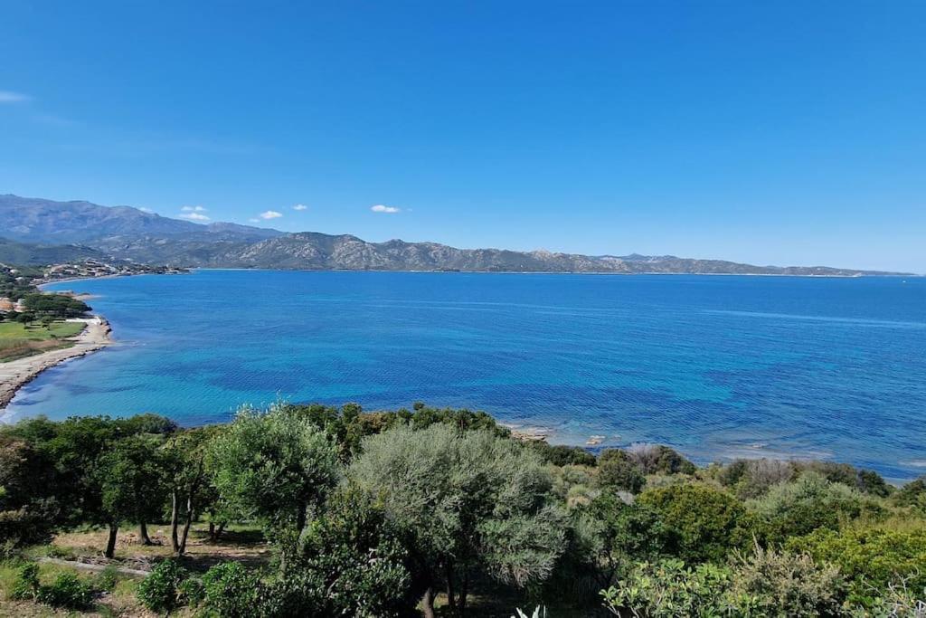 Appartement Sur La Baie De Saint Florent Patrimonio Exteriör bild