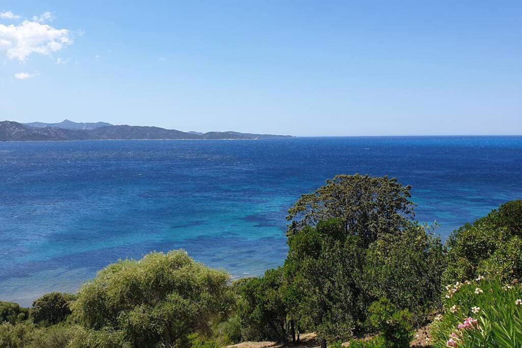 Appartement Sur La Baie De Saint Florent Patrimonio Exteriör bild