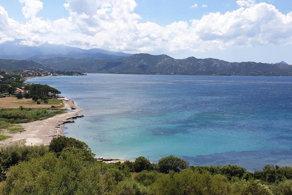 Appartement Sur La Baie De Saint Florent Patrimonio Exteriör bild