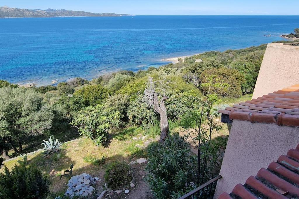 Appartement Sur La Baie De Saint Florent Patrimonio Exteriör bild