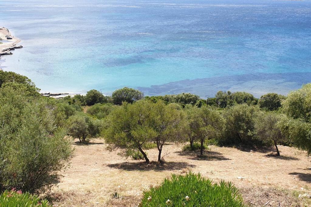 Appartement Sur La Baie De Saint Florent Patrimonio Exteriör bild